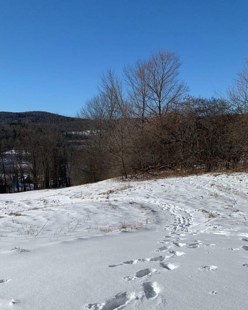 tracks-hill-snow.jpg